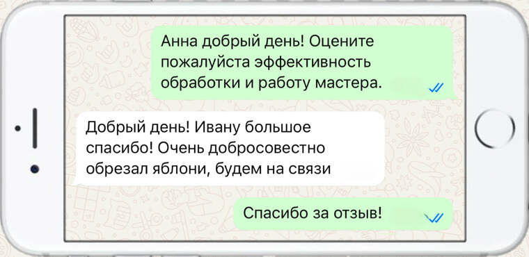 лечение деревьев от насекомых вредителей - фото №4