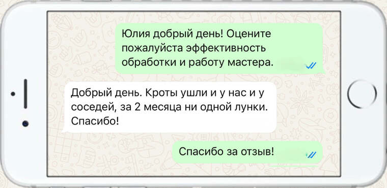 лечение деревьев от насекомых вредителей - фото №5